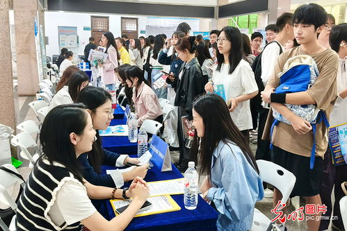 金秋啟航 精準服務護航青春夢，信息咨詢助力高質量就業