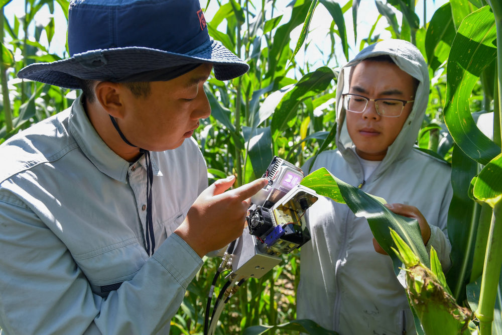 科技賦能中國農民的豐收年 農業科學研究的試驗發展