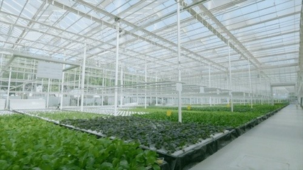 國家農業科技園園藝創新中心正式開園 賦能農業科學研究與試驗發展