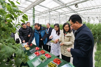 省農(nóng)業(yè)農(nóng)村廳副廳長(zhǎng)曹麗虹一行調(diào)研我院溧水基地設(shè)施農(nóng)業(yè)和智慧農(nóng)業(yè)場(chǎng)景建設(shè)