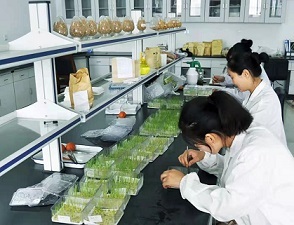 中農(nóng)立華董事長(zhǎng)蘇毅 以“種子+農(nóng)藥”業(yè)務(wù)協(xié)同發(fā)展引領(lǐng)農(nóng)業(yè)科學(xué)新未來(lái)