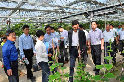 科技賦能農業發展 國家農業科技園區調研組考察白馬基地紀實