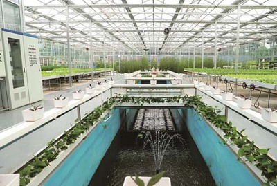 走進省農科院鄂州基地 觸摸現代農業發展的堅實底氣